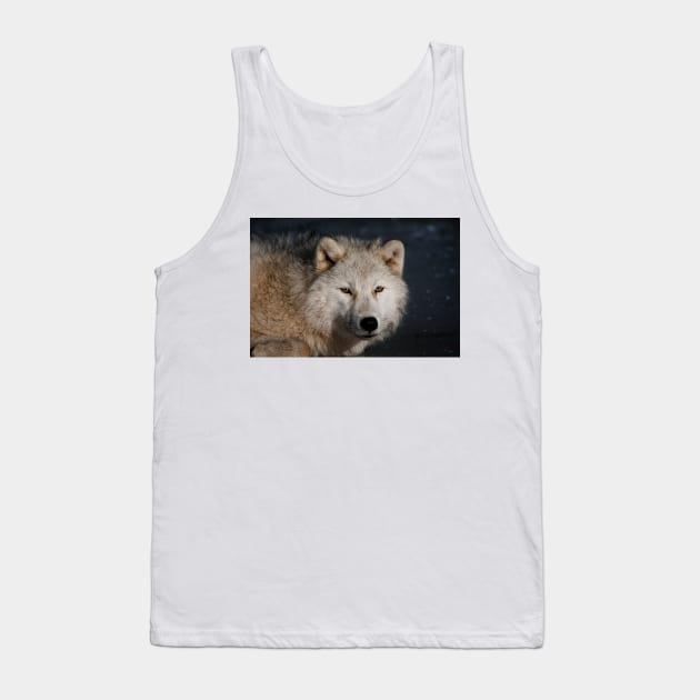 Arctic wolf Tank Top by jaydee1400